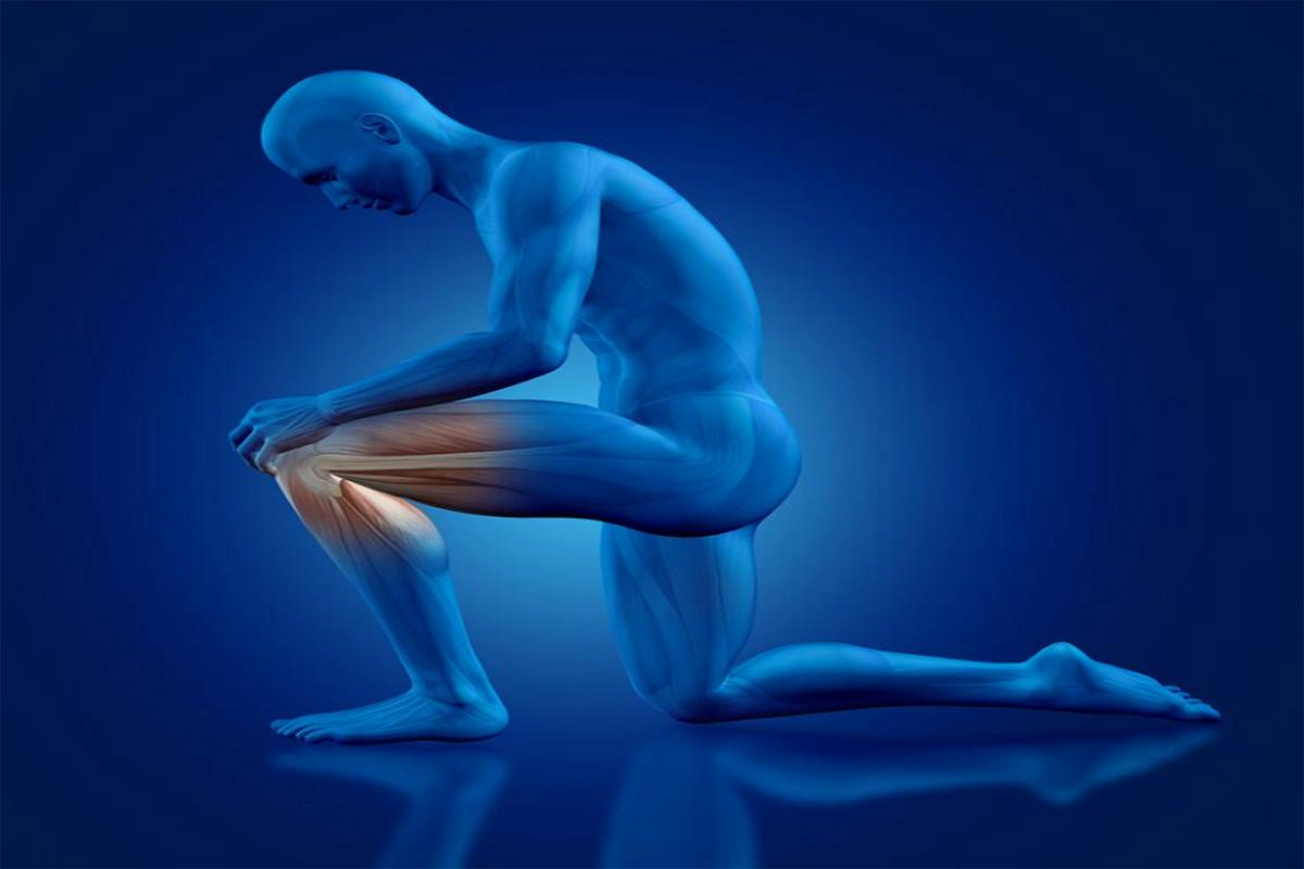 Balancing Act: How Physical Therapy Corrects Muscle Imbalances
